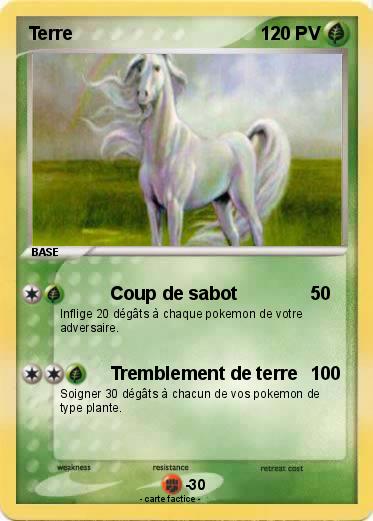 Pokemon Terre