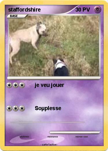 Pokemon staffordshire