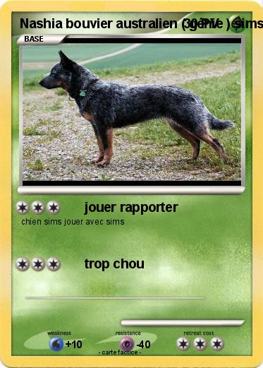 Pokemon Nashia bouvier australien ( génie ) sims 3 animaux & cie 3ds