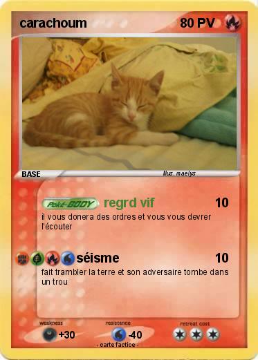 Pokemon carachoum