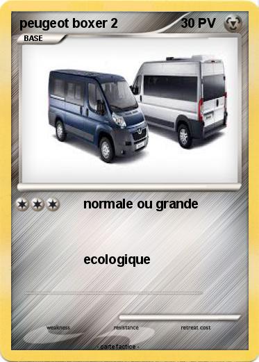Pokemon peugeot boxer 2