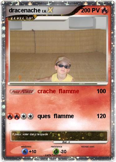 Pokemon dracenache