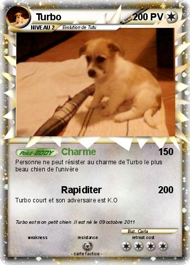 Pokemon Turbo