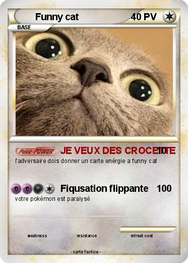 Pokemon Funny cat