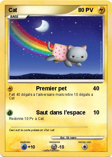 Pokemon Cat