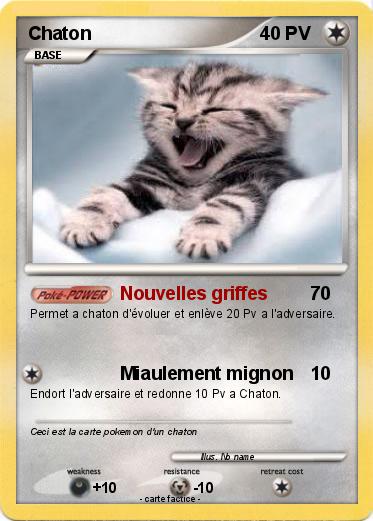 Pokemon Chaton