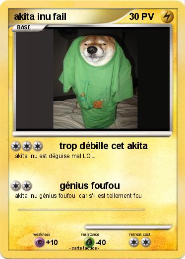 Pokemon akita inu fail
