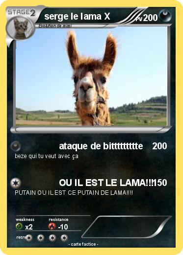 Pokemon serge le lama X