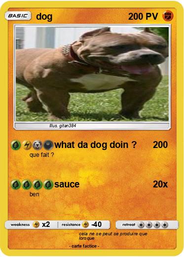 Pokemon dog