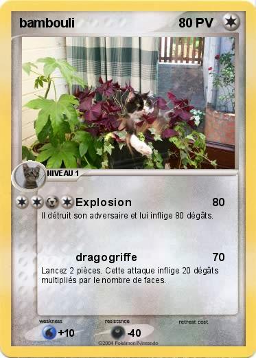Pokemon bambouli