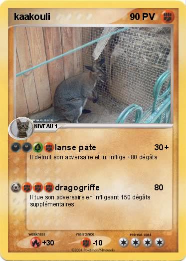 Pokemon kaakouli