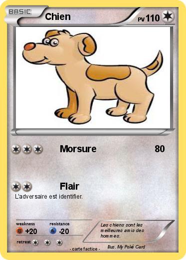 Pokemon Chien