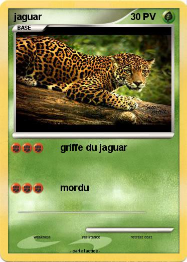 Pokemon jaguar