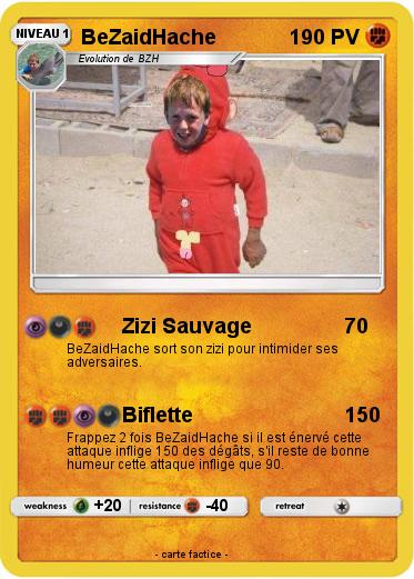 Pokemon BeZaidHache