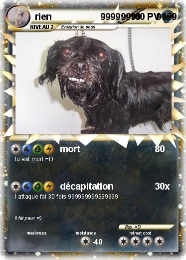 Pokemon rien                   99999999      9999