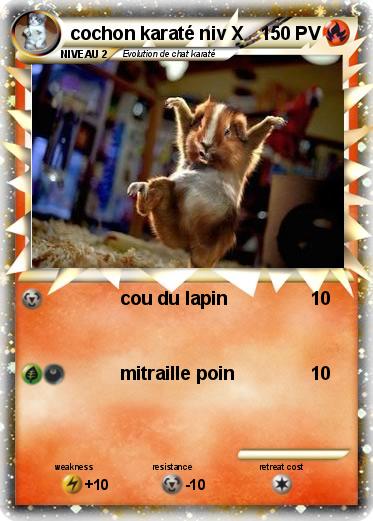 Pokemon cochon karaté niv X