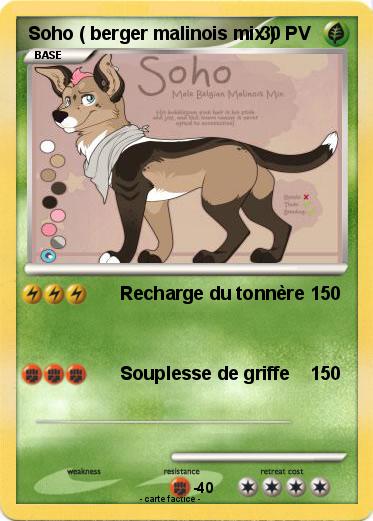 Pokemon Soho ( berger malinois mix )