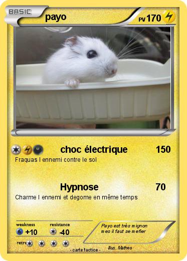 Pokemon payo