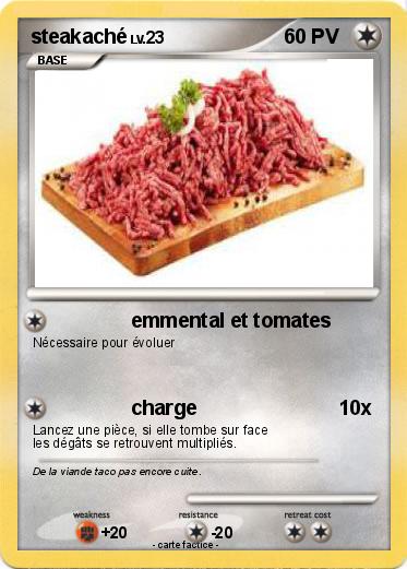 Pokemon steakaché