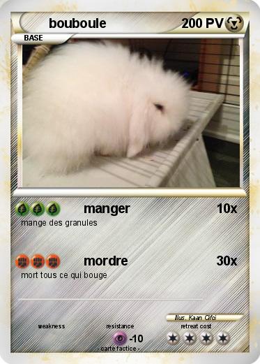 Pokemon bouboule