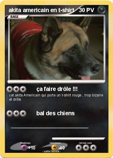 Pokemon akita americain en t-shirt