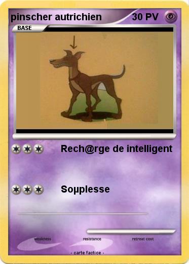 Pokemon pinscher autrichien