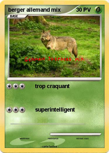 Pokemon berger allemand mix