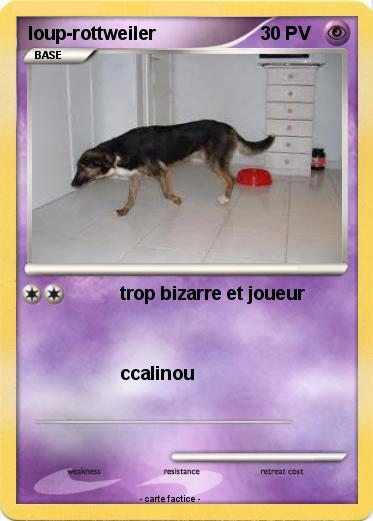 Pokemon loup-rottweiler