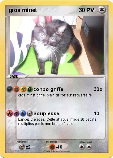 Pokemon gros minet
