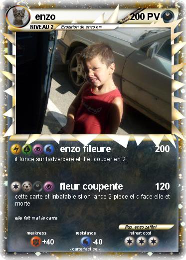Pokemon enzo