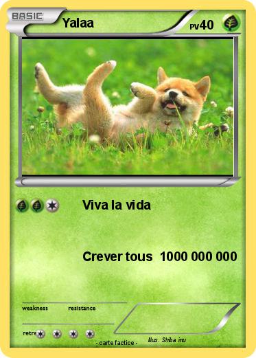Pokemon Yalaa