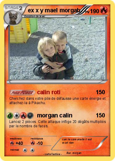 Pokemon ex x y mael morgab