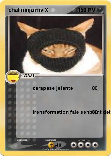 Pokemon chat ninja niv X 