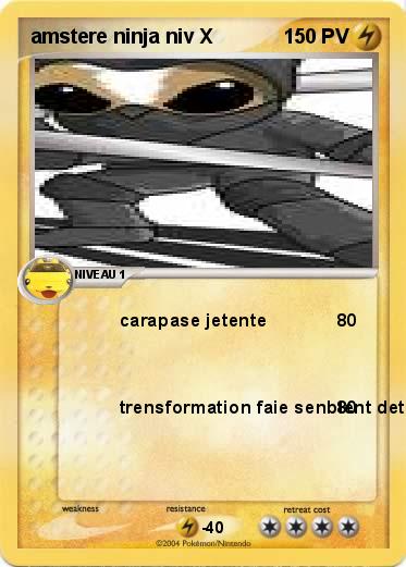 Pokemon amstere ninja niv X 
