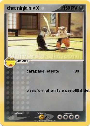 Pokemon chat ninja niv X 