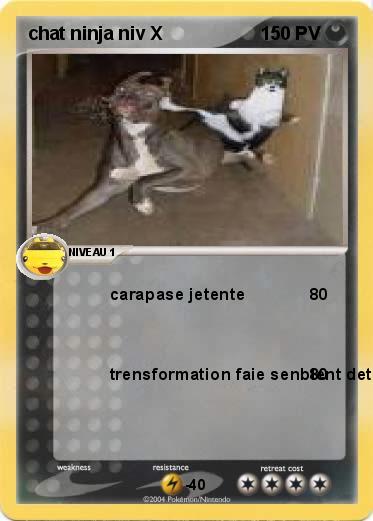 Pokemon chat ninja niv X 