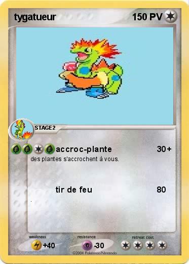 Pokemon tygatueur