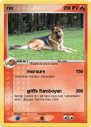 Pokemon rex