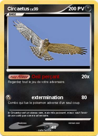 Pokemon Circaetus