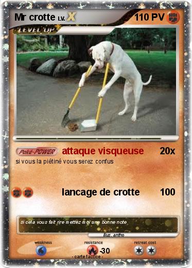 Pokemon Mr crotte