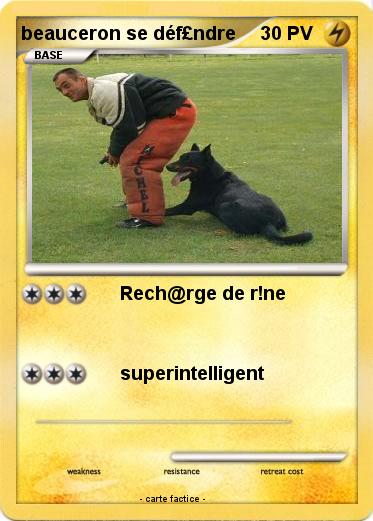 Pokemon beauceron se déf£ndre