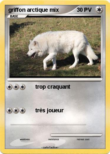 Pokemon griffon arctique mix