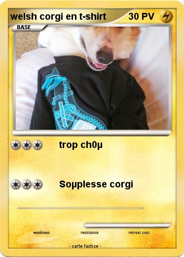 Pokemon welsh corgi en t-shirt