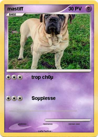 Pokemon mastiff