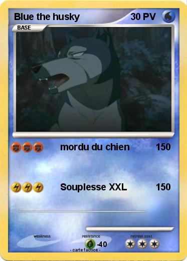 Pokemon Blue the husky