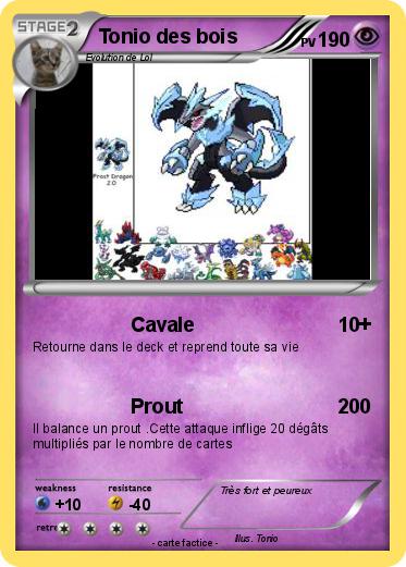Pokemon Tonio des bois