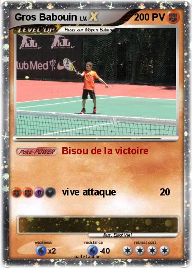 Pokemon Gros Babouin