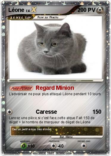 Pokemon Léone