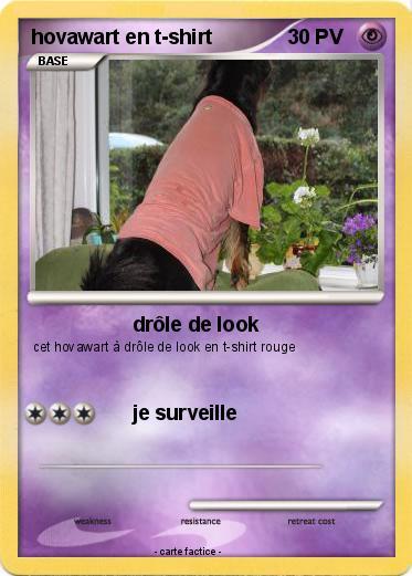 Pokemon hovawart en t-shirt