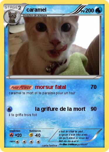 Pokemon caramel